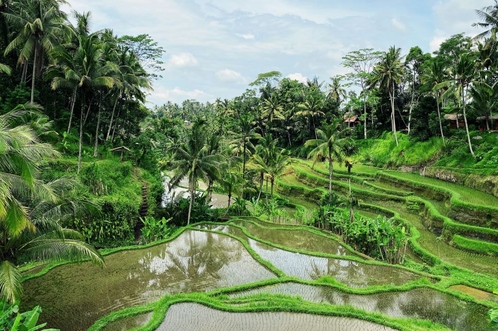 Uskrs na Baliju + Kuala Lumpur