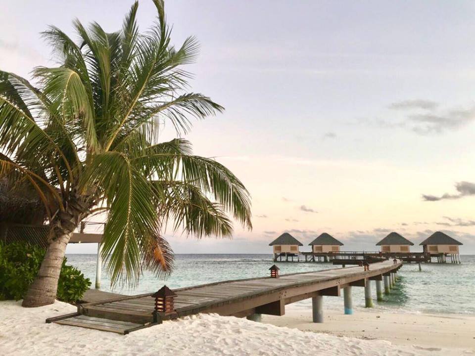 Maldivi, Dubai & Abu Dhabi