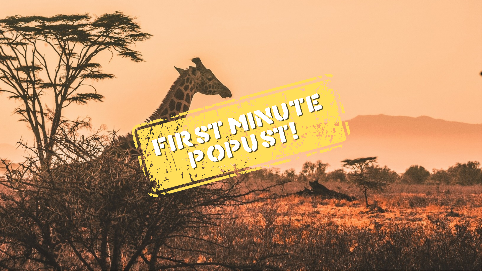 Tanzanija (Safari & Zanzibar)